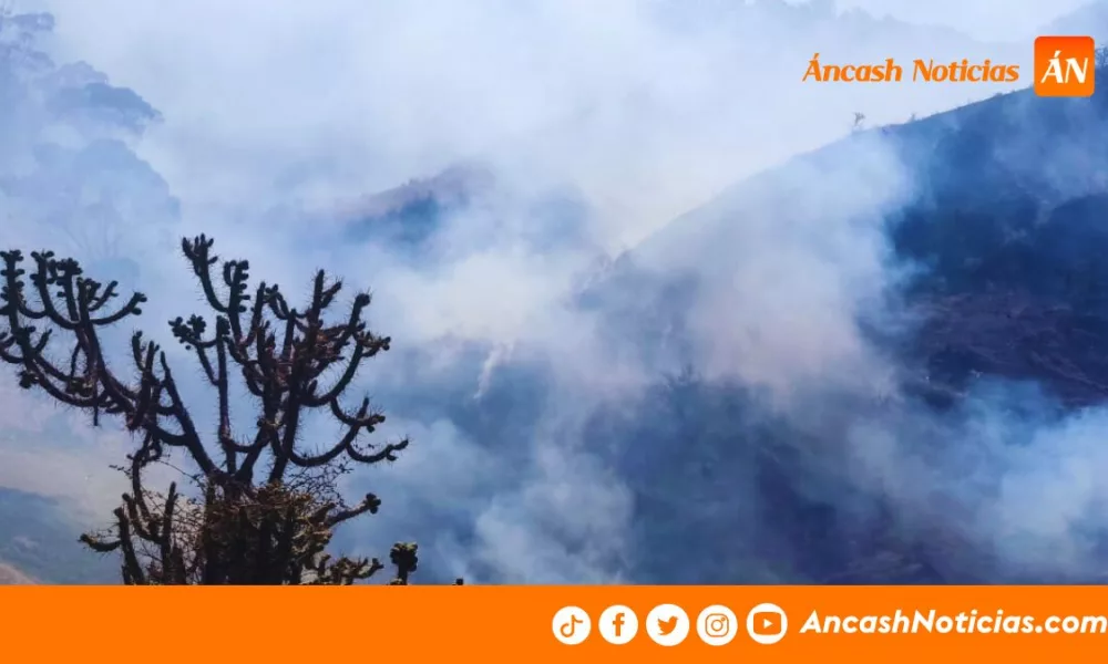 Incendio forestal en Chiquián sigue activo y amenaza ecosistema