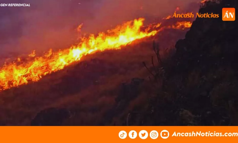 Áncash: incendios forestales devastan más de 40 hectáreas de pastizales