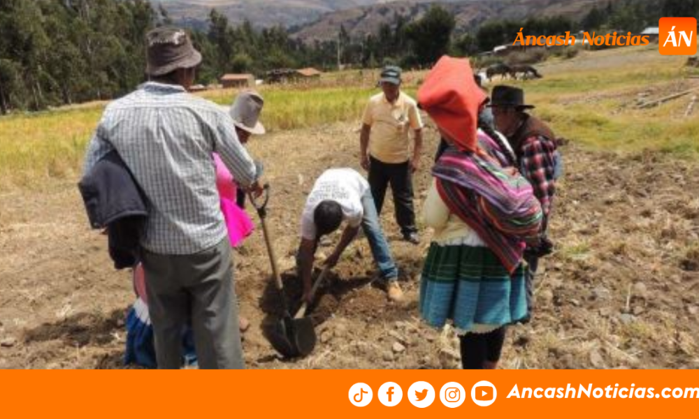 Dirigente agrario cuestiona gestión regional y señala falta de apoyo al agro en Áncash