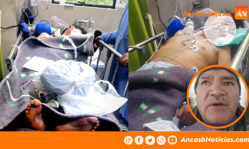 Caso Gato Garfield: familia detalla cómo fue encontrado tras brutal agresión