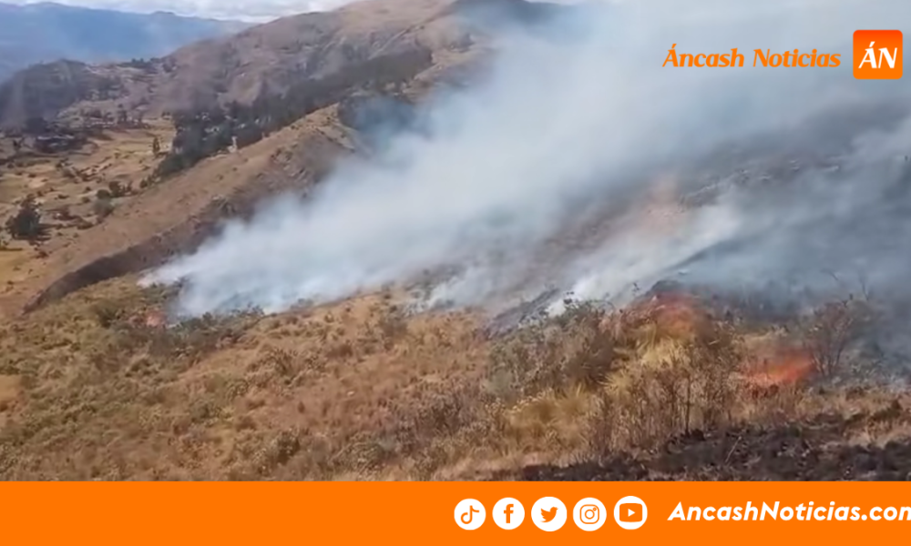 Pomabamba: incendio forestal en Chuyas fue completamente extinguido tras afectar cerca de 60 hectáreas