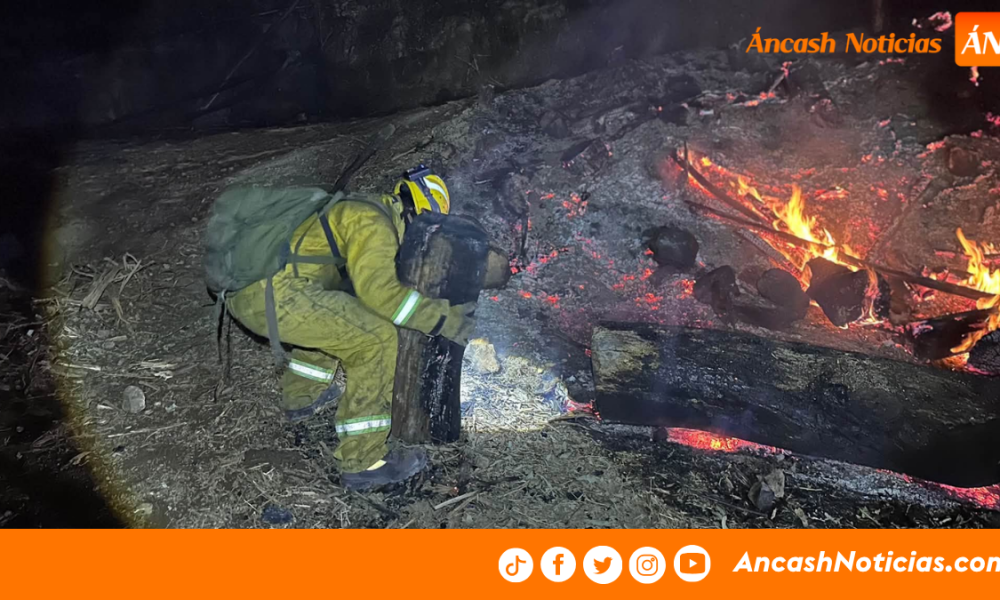 Incendio forestal en Independencia afectó dos hectáreas de cobertura natural