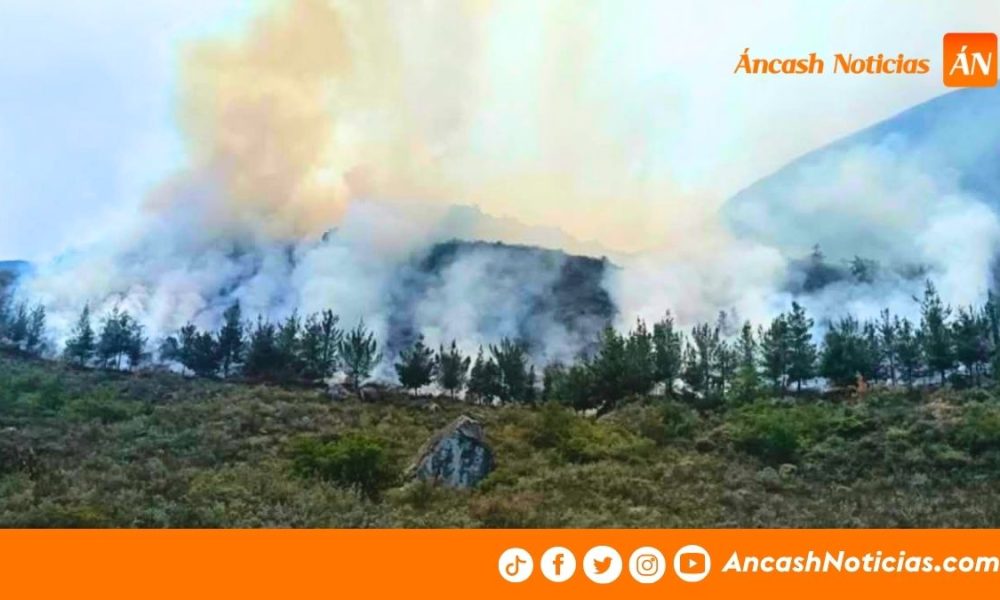 Áncash registra 179 incendios forestales y 25 bosques afectados